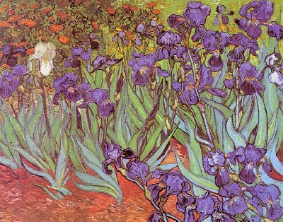Vincent van Gogh,Irises, 1889, oil on canvas, J. Paul Getty Museum, Malibu, CA